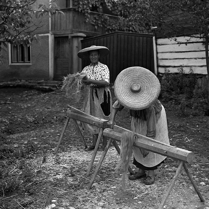 minerva_1986_c3_c2r2_008