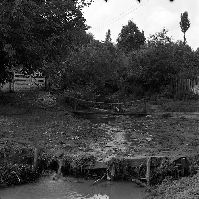 minerva_1986_c3_c2r2_009