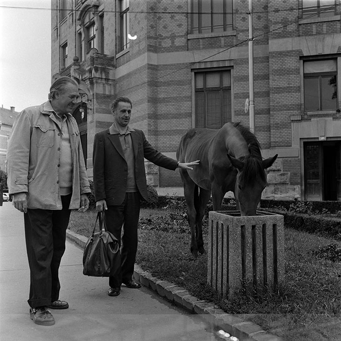 minerva_1986_c3_c2r3_001