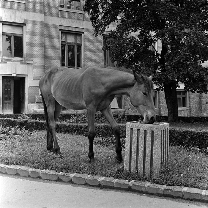 minerva_1986_c3_c2r3_002