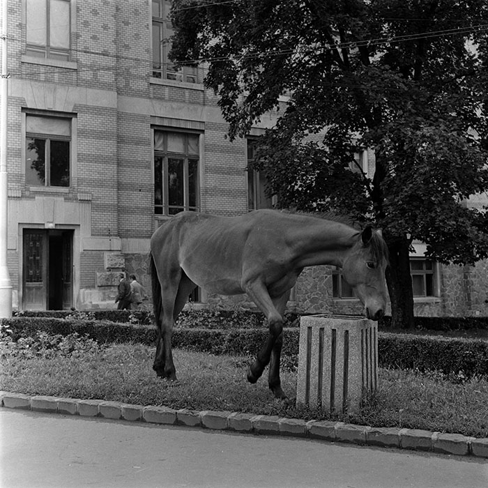 minerva_1986_c3_c2r3_003