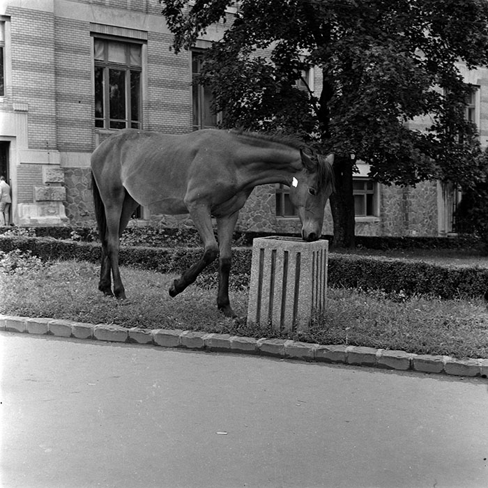 minerva_1986_c3_c2r3_004