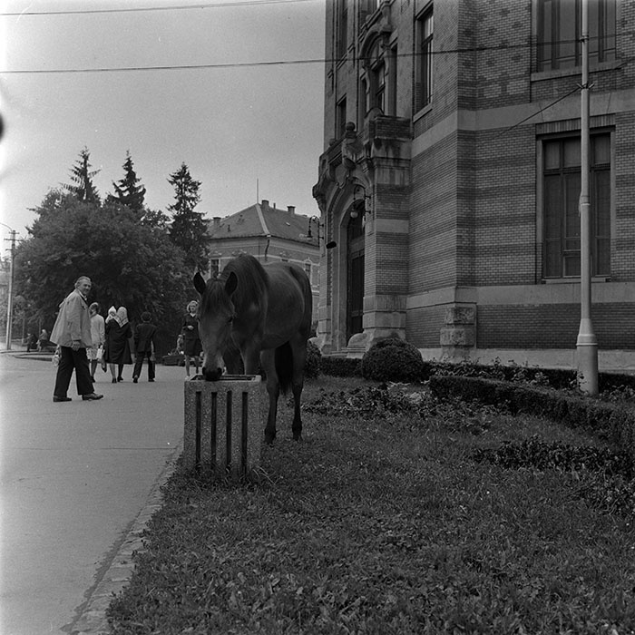 minerva_1986_c3_c2r3_005