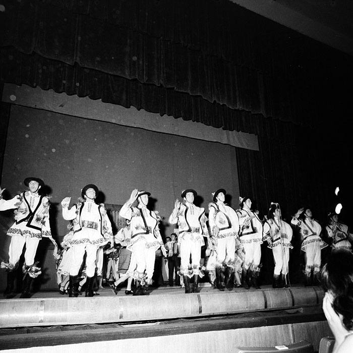 minerva_1986_c3_c3r2_007