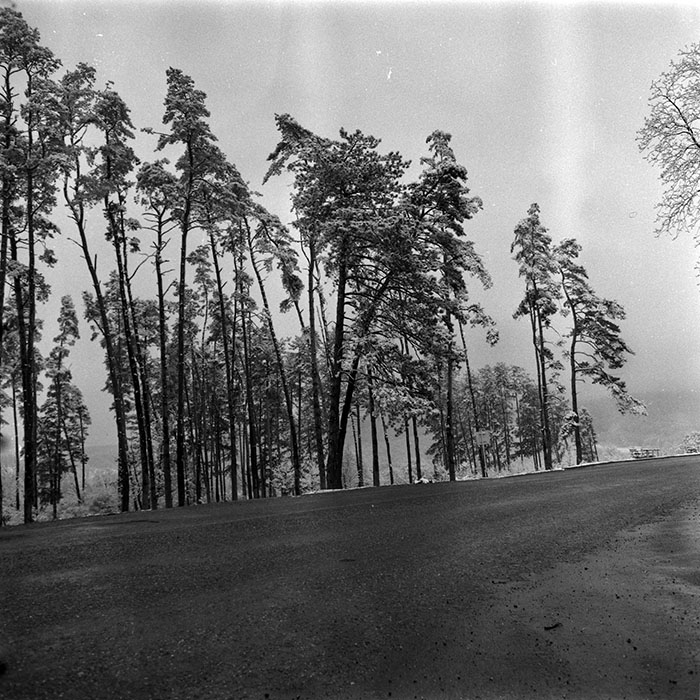 minerva_1986_c3_c3r3_001