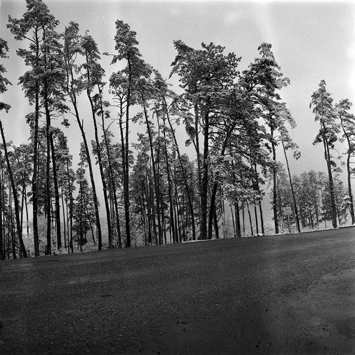 minerva_1986_c3_c3r3_002