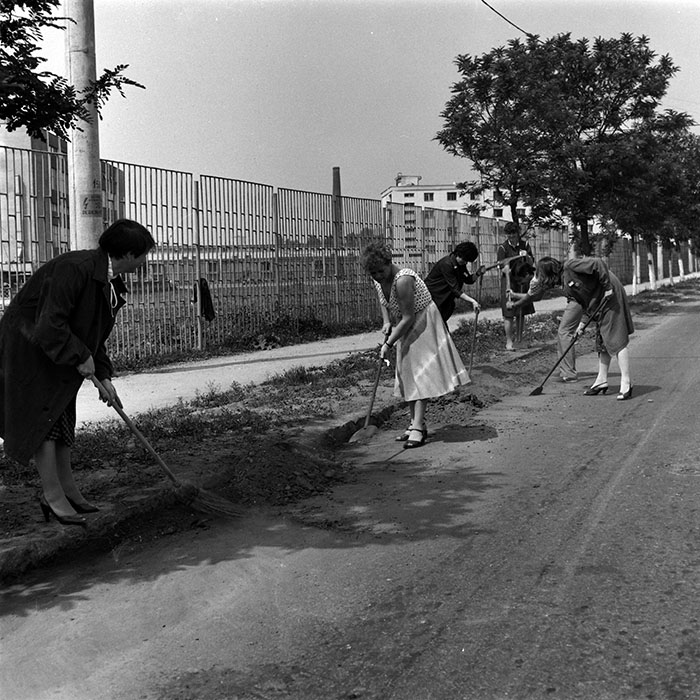 minerva_1986_c3_c4r3_004