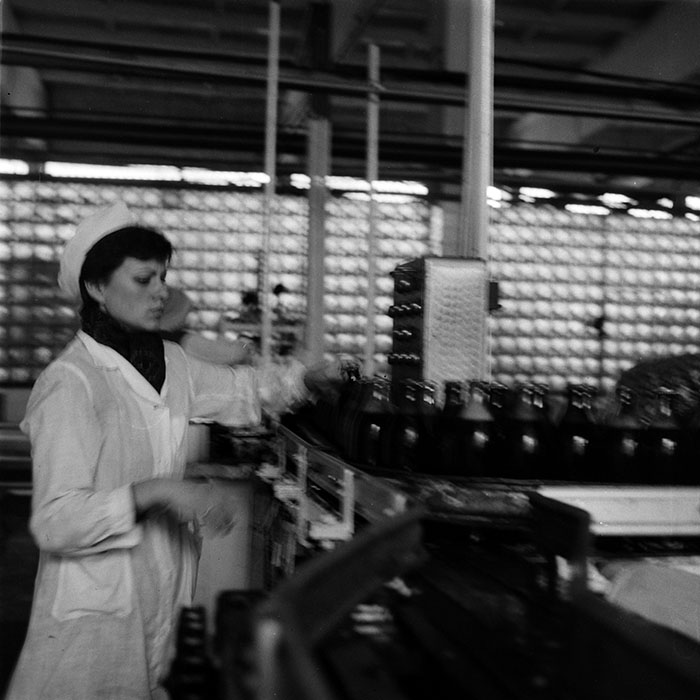 minerva_1986_c3_c4r5_003