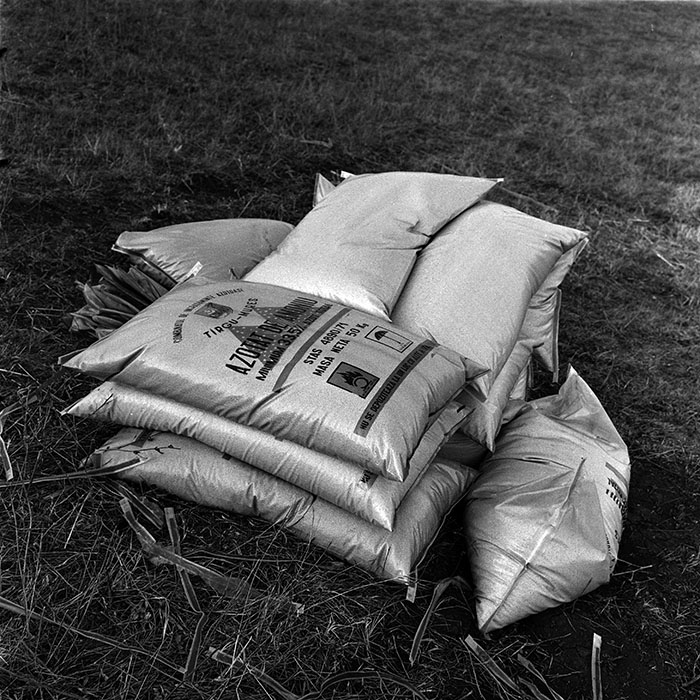 minerva_1986_c3_c5r1_002