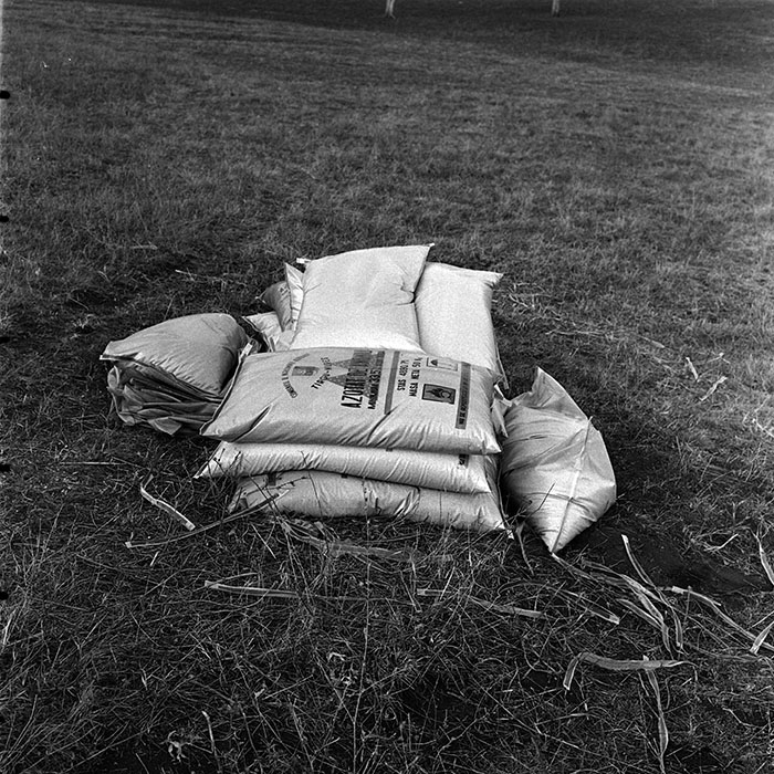 minerva_1986_c3_c5r1_004