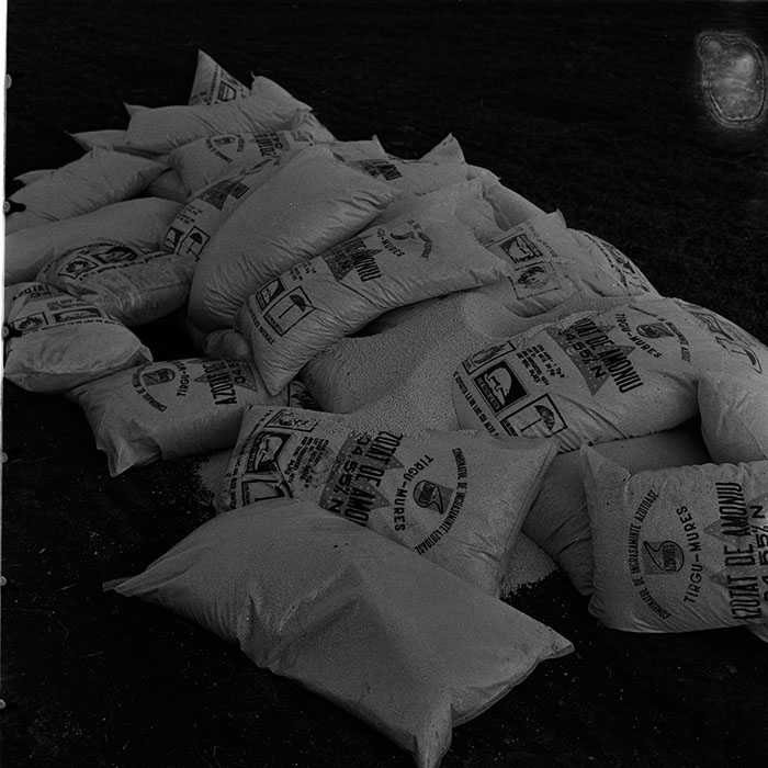 minerva_1986_c3_c5r1_010