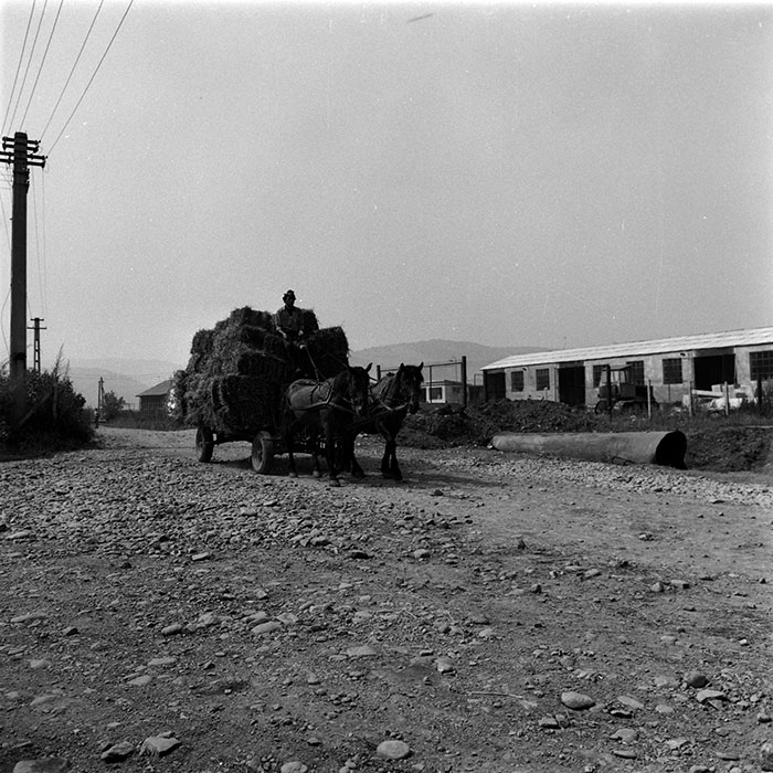 minerva_1986_c3_c5r4_003