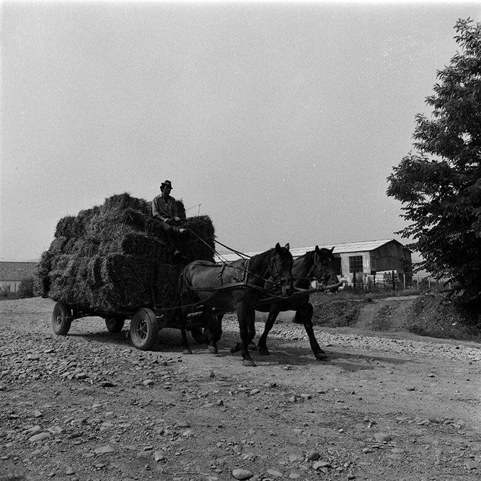 minerva_1986_c3_c5r4_004