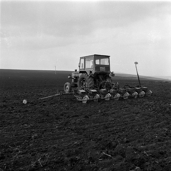 minerva_1986_c3_c6r1_001