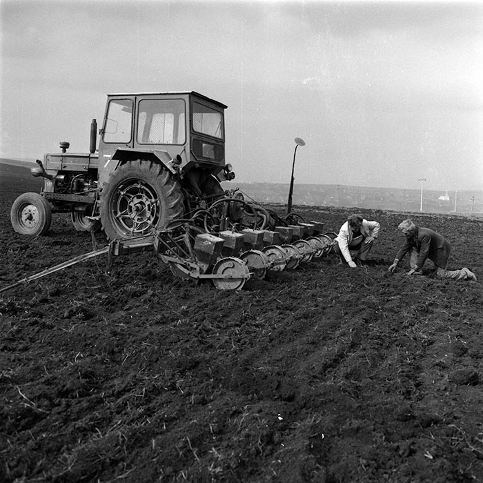 minerva_1986_c3_c6r1_002