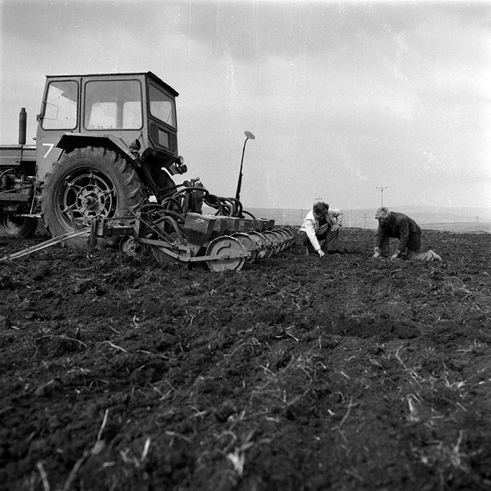 minerva_1986_c3_c6r1_003