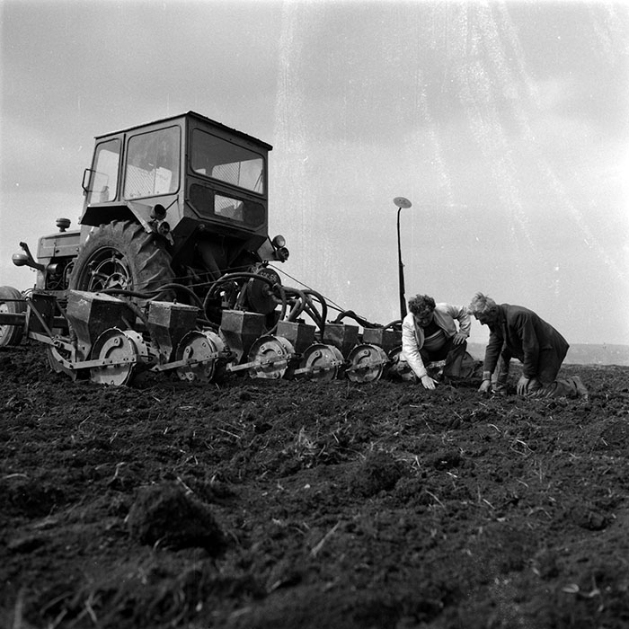 minerva_1986_c3_c6r1_004