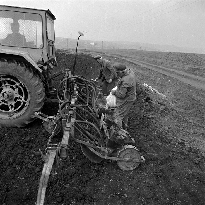 minerva_1986_c3_c6r1_007