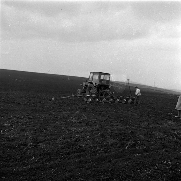 minerva_1986_c3_c6r1_011