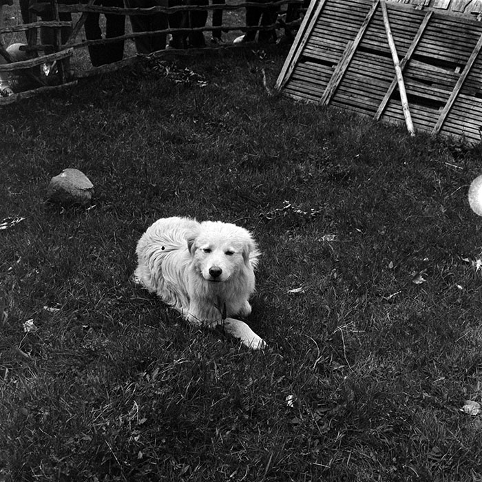 minerva_1986_c3_c7r2_001