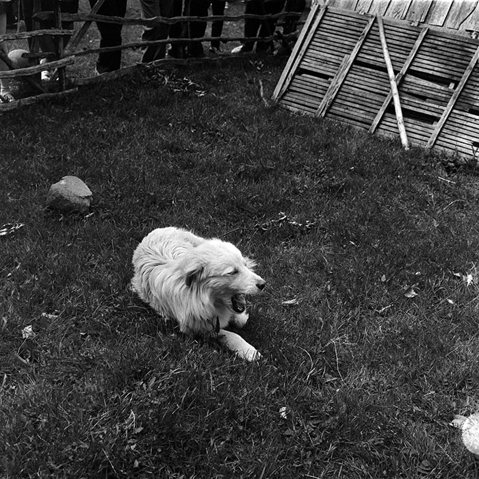 minerva_1986_c3_c7r2_002