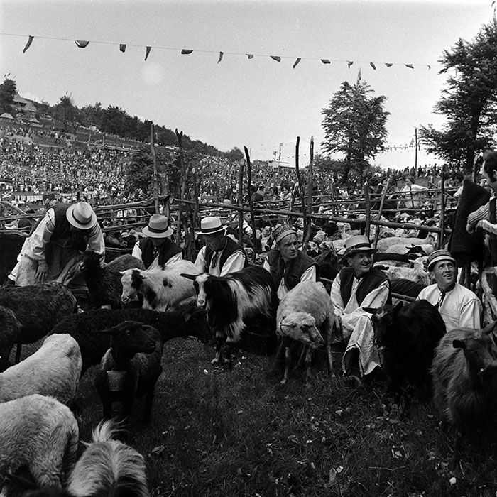 minerva_1986_c3_c7r2_022