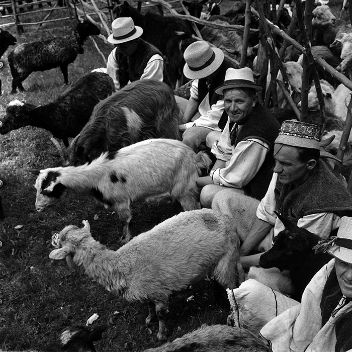 minerva_1986_c3_c7r2_023