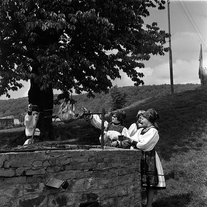 minerva_1986_c3_c7r2_028