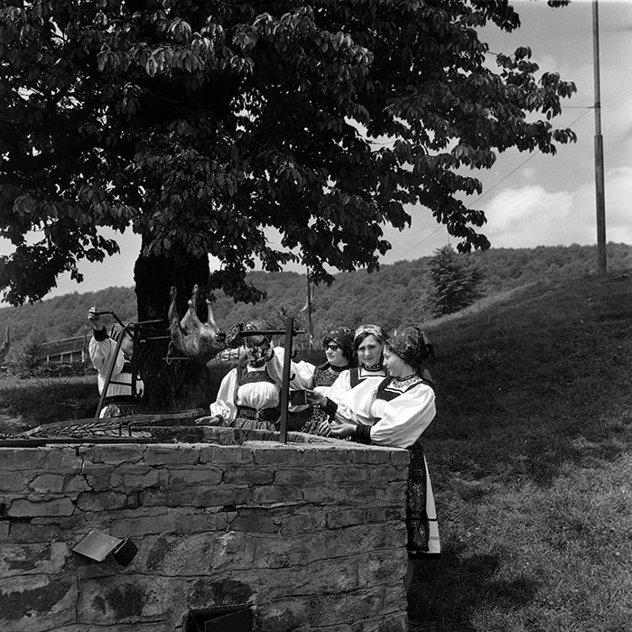 minerva_1986_c3_c7r2_029