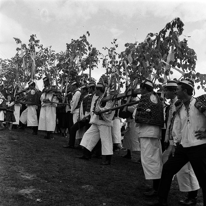 minerva_1986_c3_c7r2_037