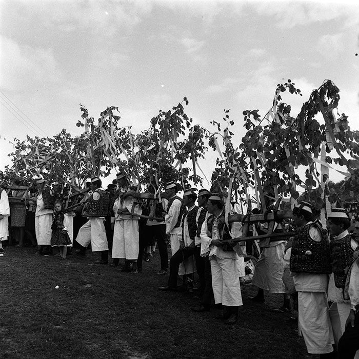 minerva_1986_c3_c7r2_038