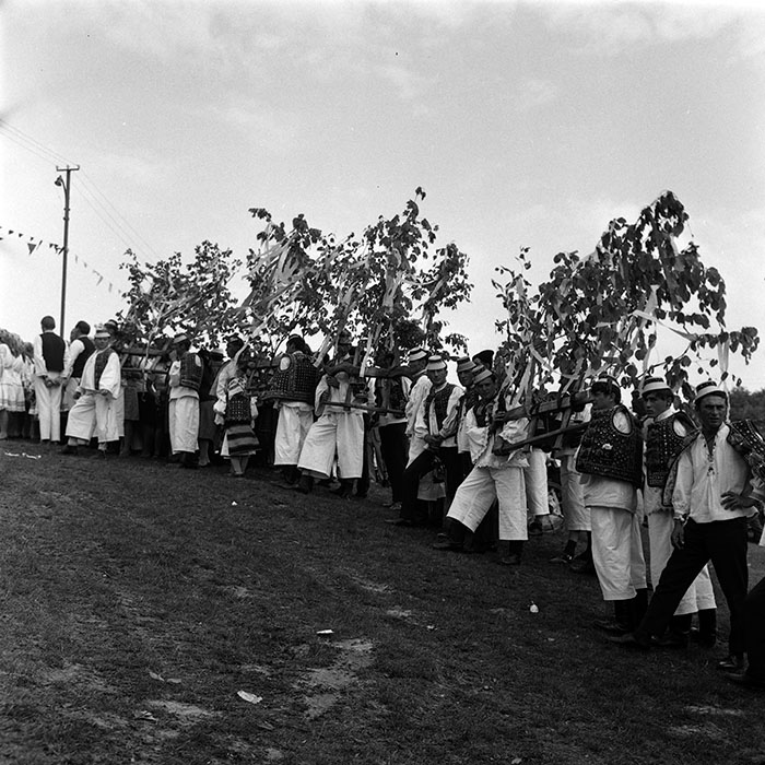 minerva_1986_c3_c7r2_042