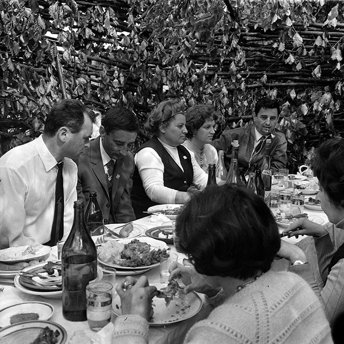 minerva_1986_c3_c7r2_050