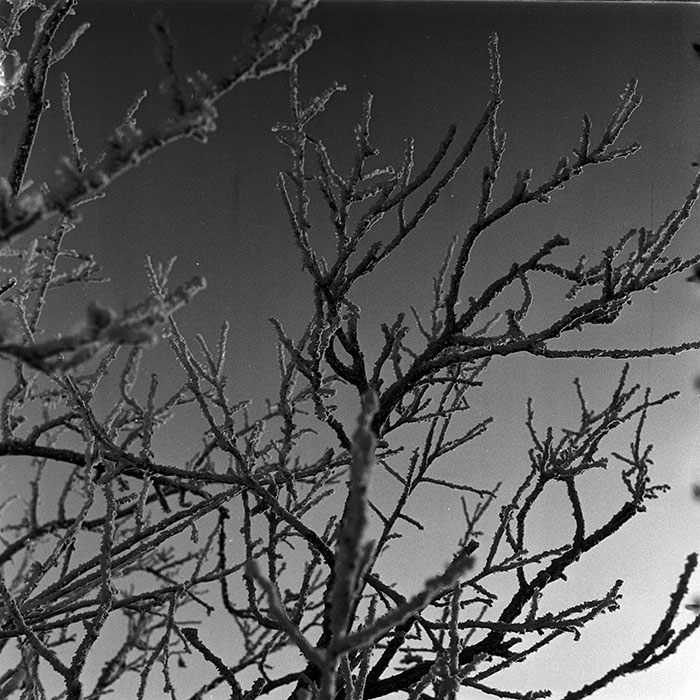 minerva_1986_c3_c7r3_004