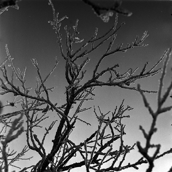 minerva_1986_c3_c7r3_005