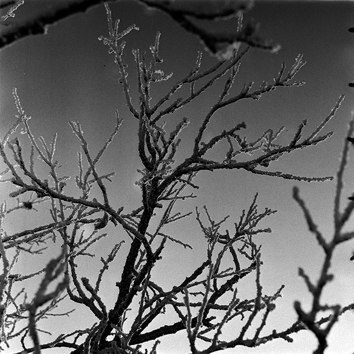 minerva_1986_c3_c7r3_006