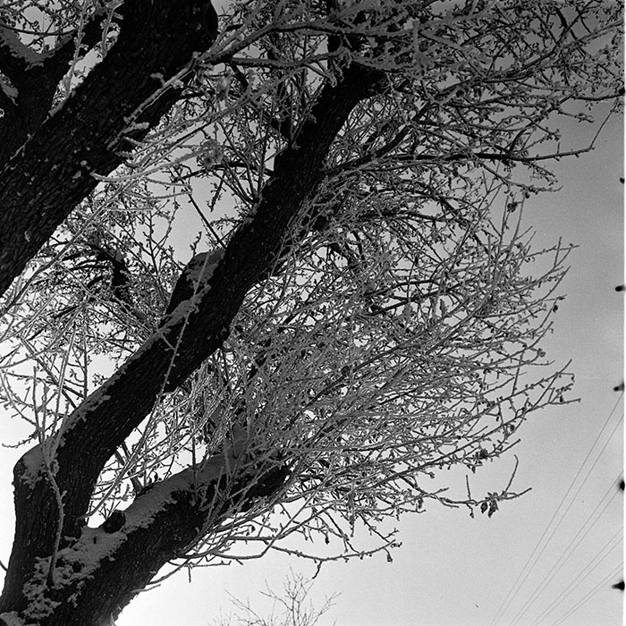 minerva_1986_c3_c7r3_008