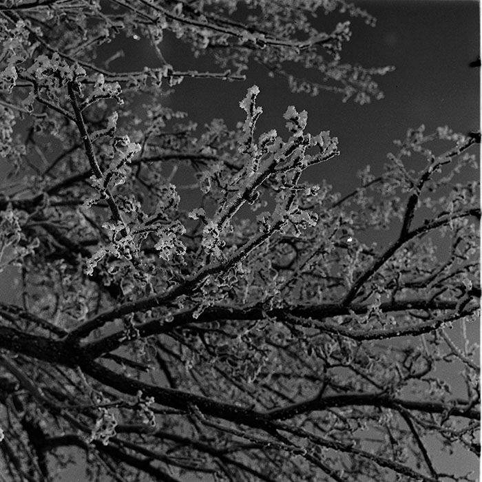 minerva_1986_c3_c7r3_009