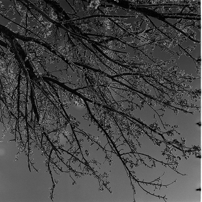 minerva_1986_c3_c7r3_010