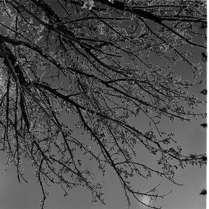 minerva_1986_c3_c7r3_011