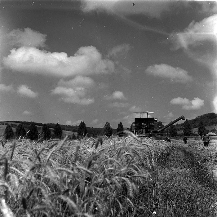 minerva_1986_c3_c7r4_001