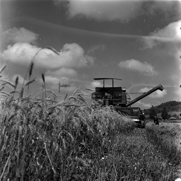 minerva_1986_c3_c7r4_002