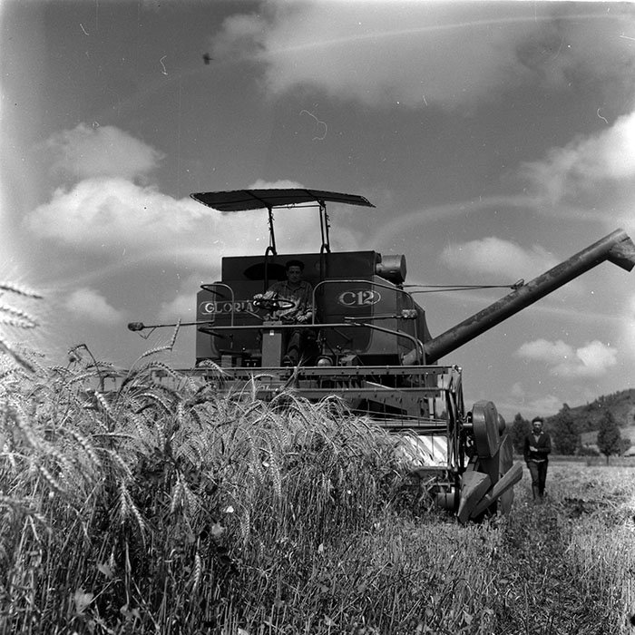 minerva_1986_c3_c7r4_003