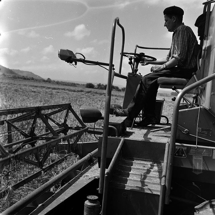 minerva_1986_c3_c7r4_004