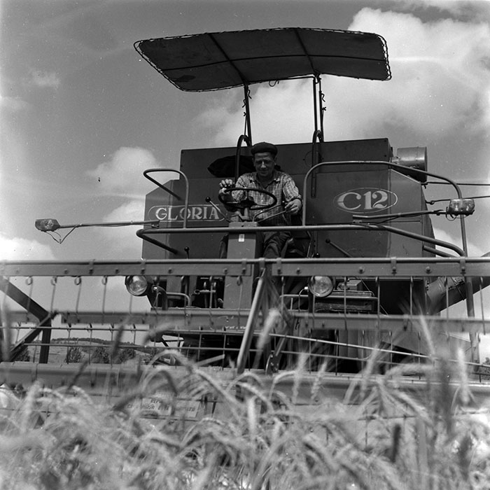 minerva_1986_c3_c7r4_006