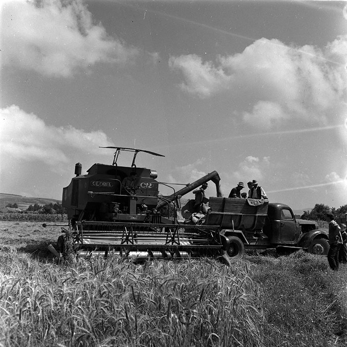 minerva_1986_c3_c7r4_008