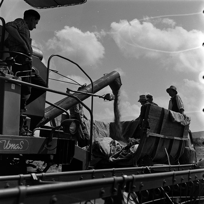 minerva_1986_c3_c7r4_009