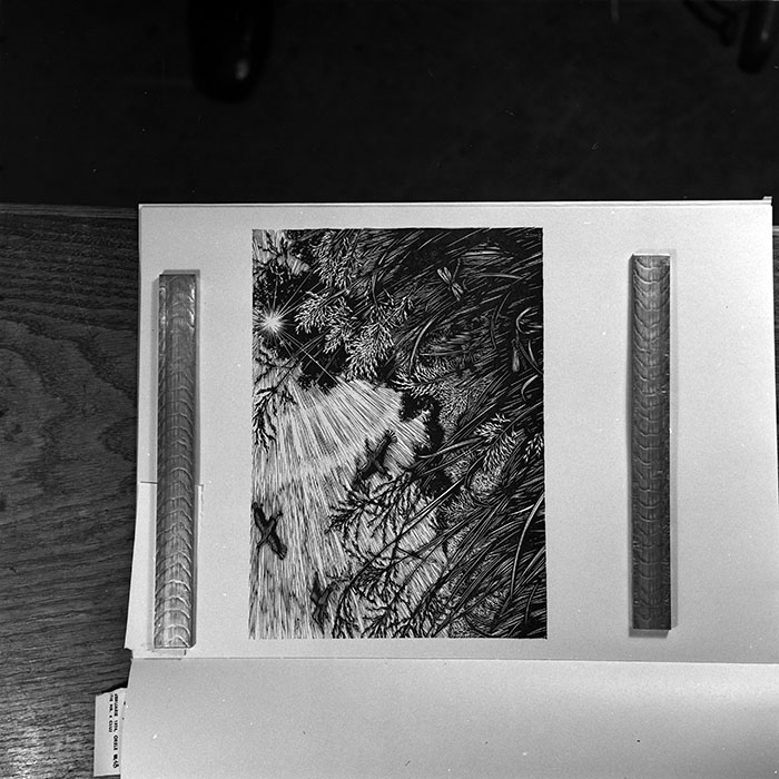 minerva_1986_c3_c7r5_007