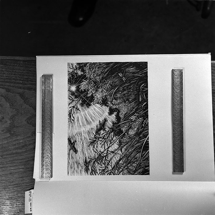 minerva_1986_c3_c7r5_008