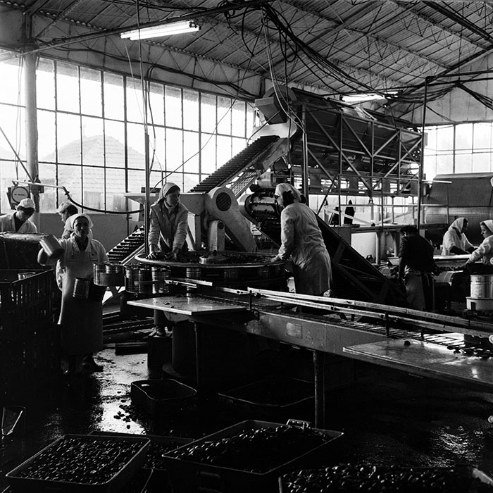 minerva_1986_c3_c8r3_011